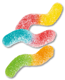 Glow Worms