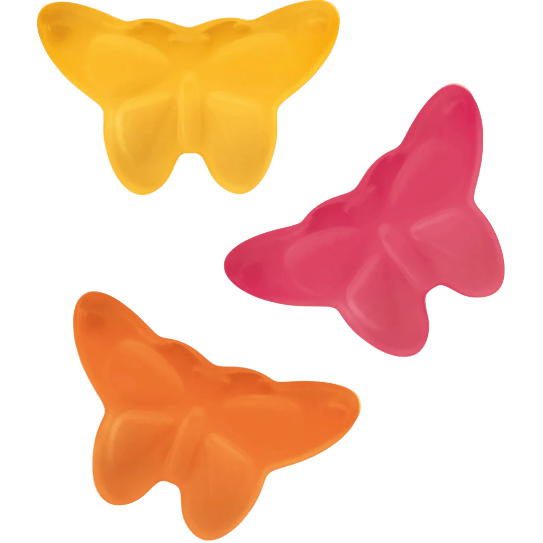 Duo Butterfly