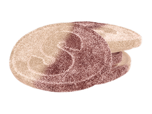 S-marke Cola